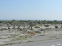 /album/kargan%2c-southern-iran-%d8%a8%d9%86%d8%af%d8%b1-%da%a9%d8%b1%da%af%d8%a7%d9%86/dscn4610-jpg/