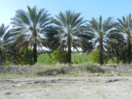 Minab-Kargān road